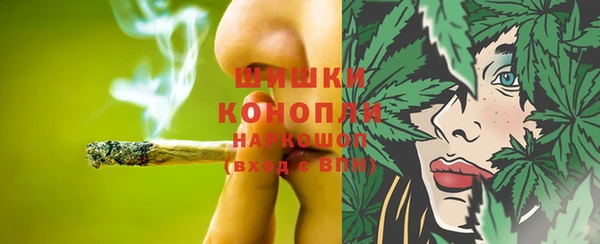 СК Алзамай
