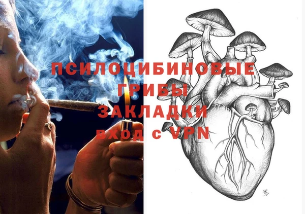дмт Алексин