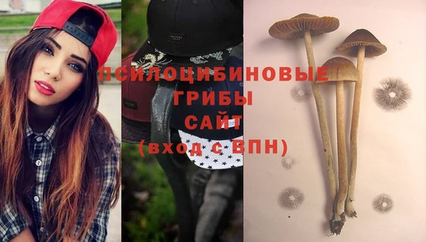 СК Алзамай