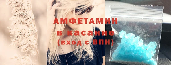 шишки Абаза