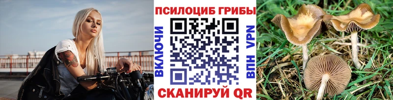 Псилоцибиновые грибы ЛСД  Куровское 